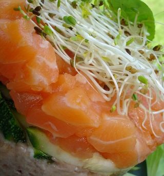 Assiette de saumon meilleur restaurant de poisson de Paris